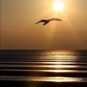 Meet your Posher, Tanuja